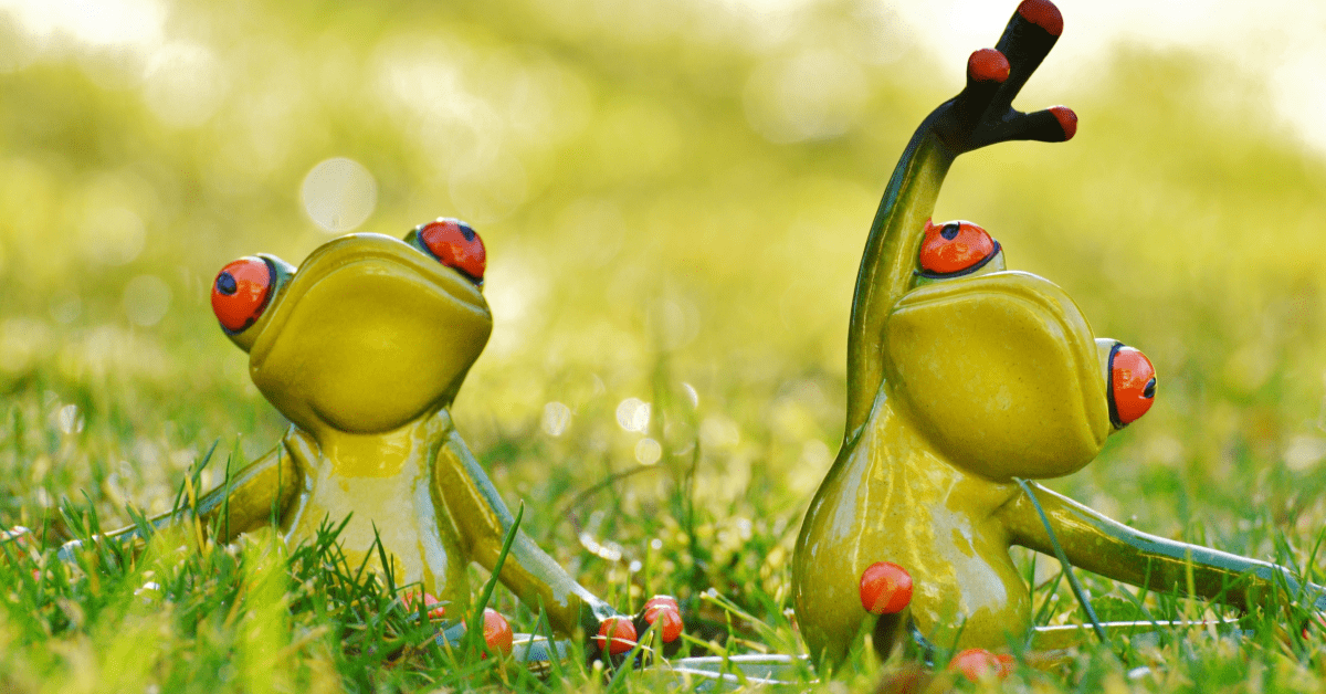 Yoga Frog 4